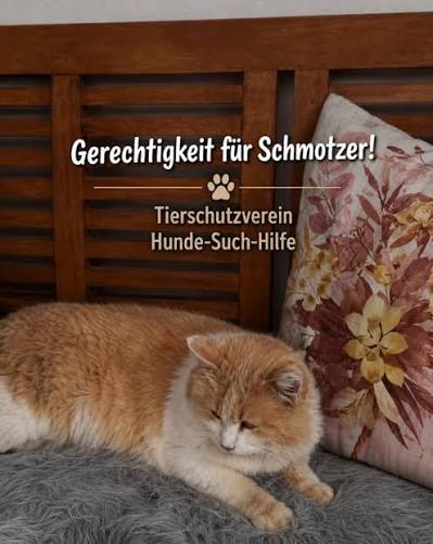 Schmotzer – Originalfoto